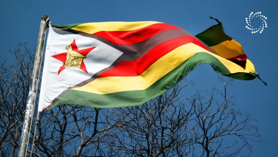 Zimbabwe flag in front of trees