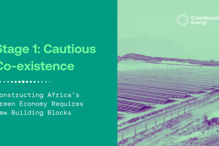 Stage 1: Cautious Co-existence – Constructing Africa’s Green Economy Requires New Building Blocks