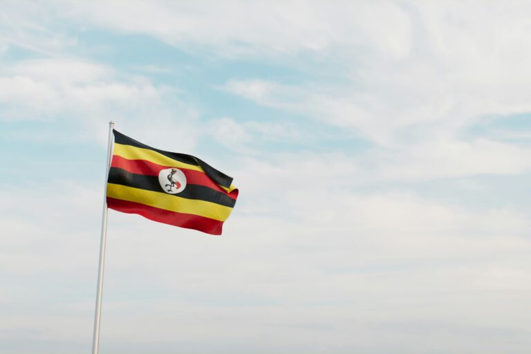 Distributed Energy Resources regulation market highlight: Uganda